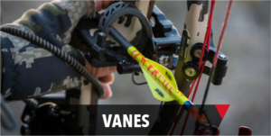 Vanes
